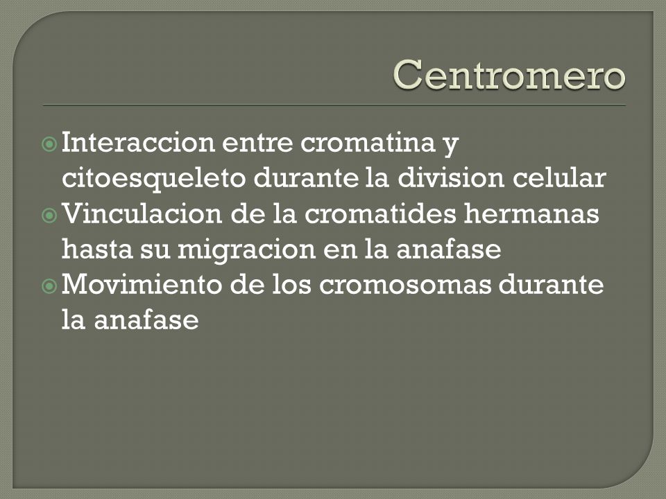 Centromero Interaccion entre cromatina y citoesqueleto durante la division celular.