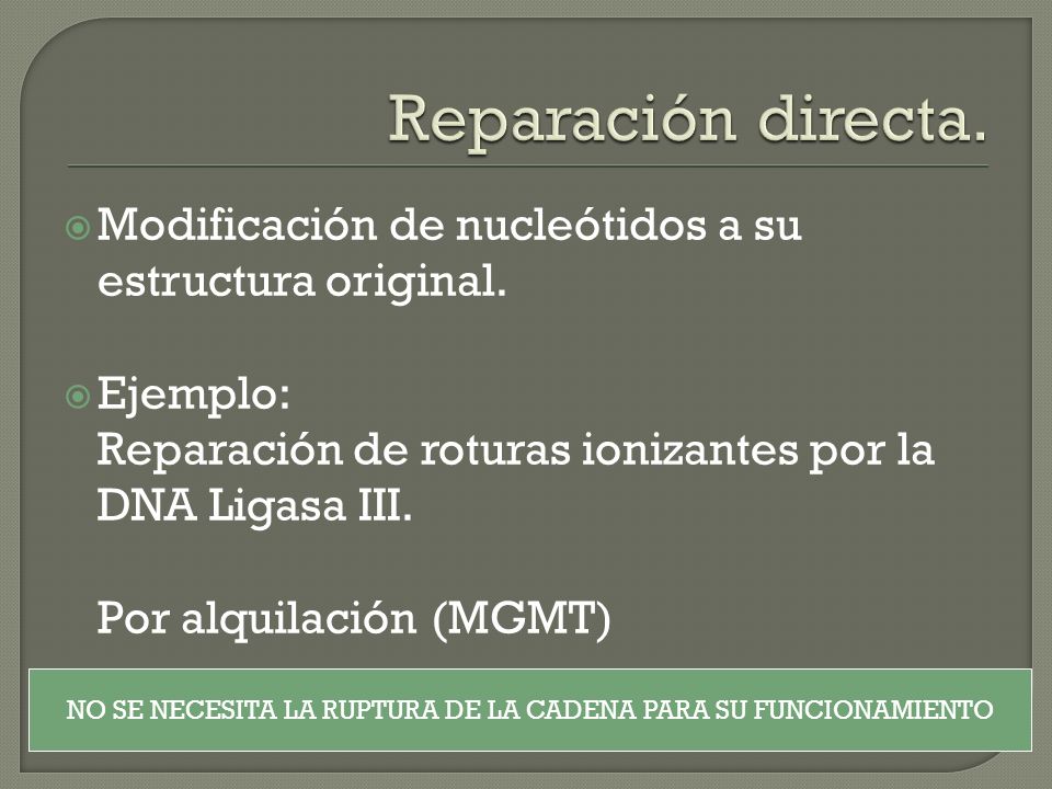 NO SE NECESITA LA RUPTURA DE LA CADENA PARA SU FUNCIONAMIENTO
