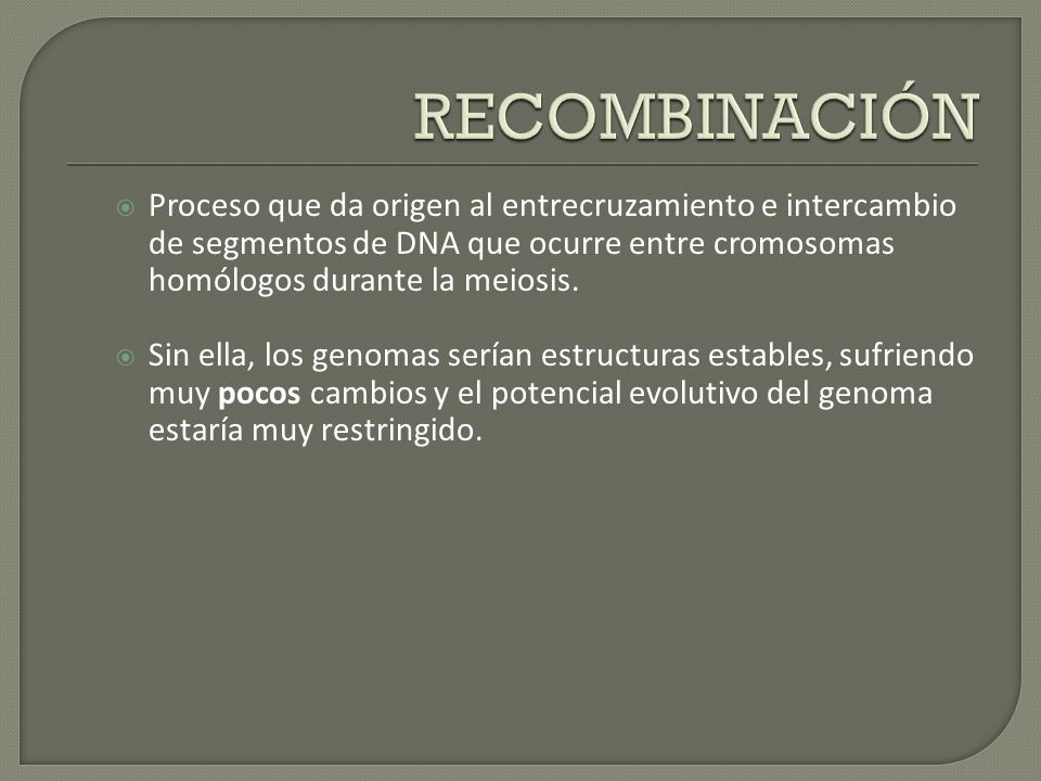 RECOMBINACIÓN Proceso que da origen al entrecruzamiento e intercambio de segmentos de DNA que ocurre entre cromosomas homólogos durante la meiosis.