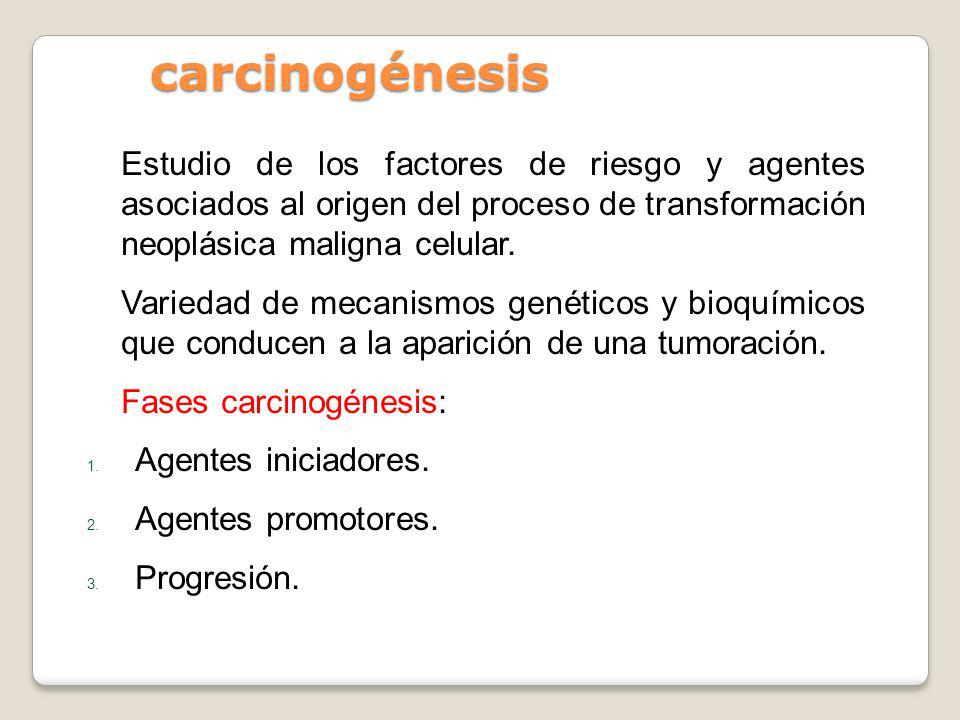 carcinogénesis Estudio de los factores de riesgo y agentes asociados al origen del proceso de transformación neoplásica maligna celular.