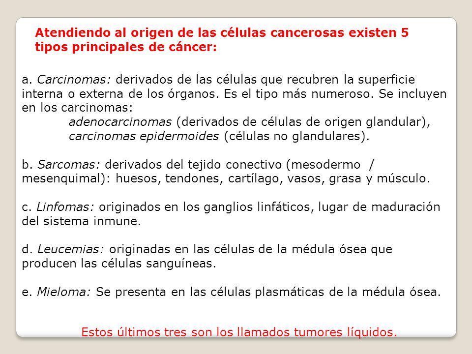 Atendiendo al origen de las células cancerosas existen 5 tipos principales de cáncer: