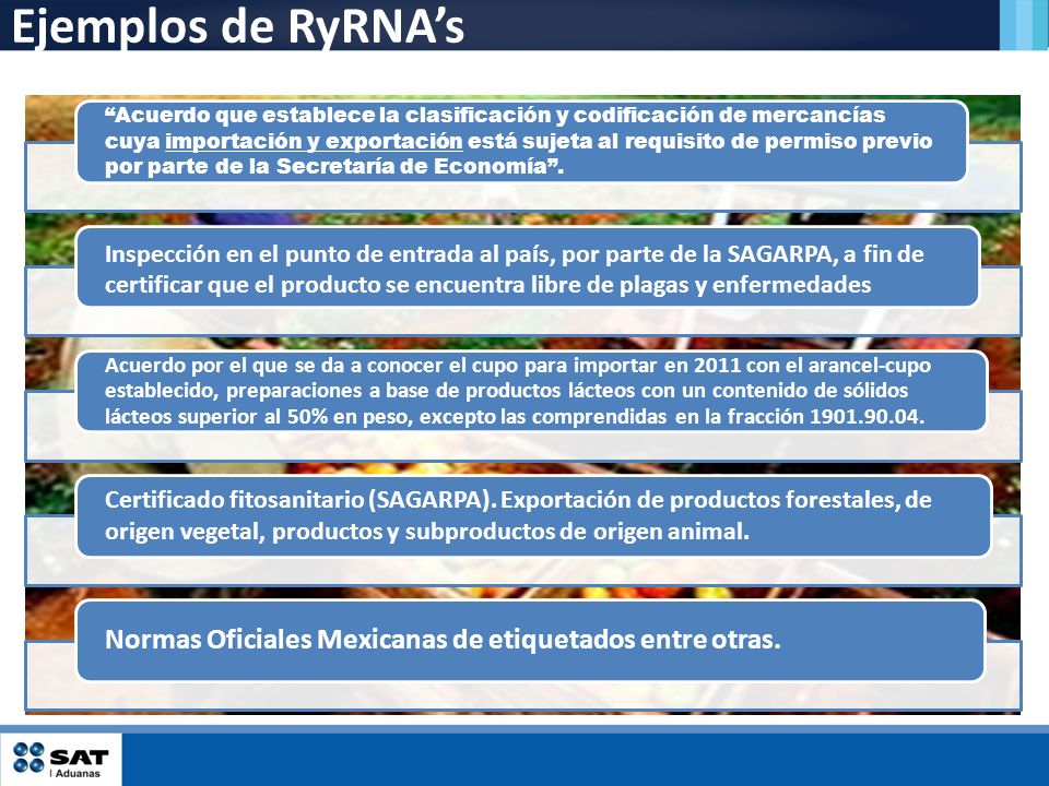 Ejemplos de RyRNA’s