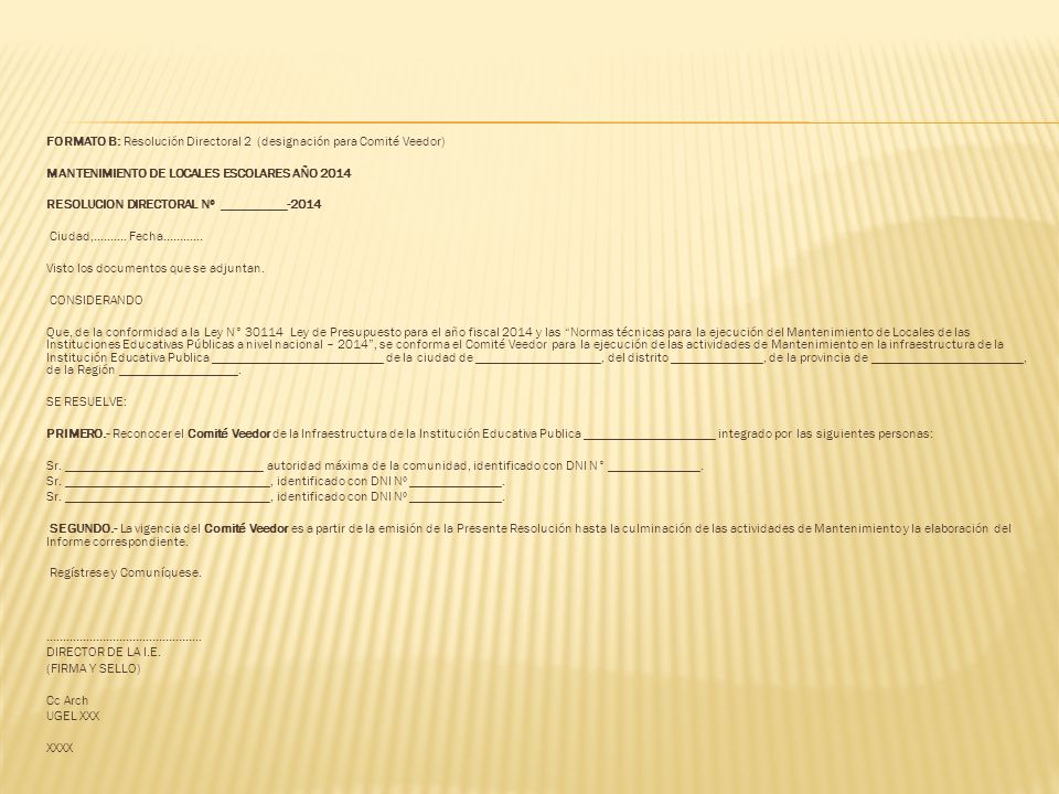 FORMATO B: Resolución Directoral 2 (designación para Comité Veedor)