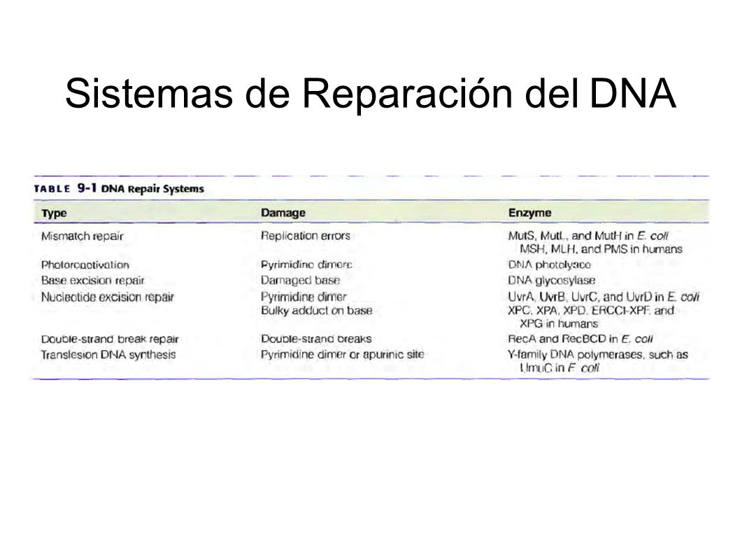Sistemas de Reparación del DNA