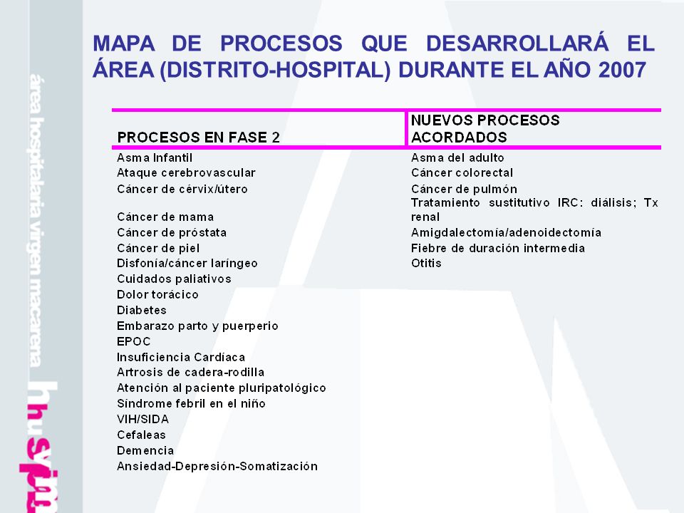 MAPA DE PROCESOS QUE DESARROLLARÁ EL ÁREA (DISTRITO-HOSPITAL) DURANTE EL AÑO 2007