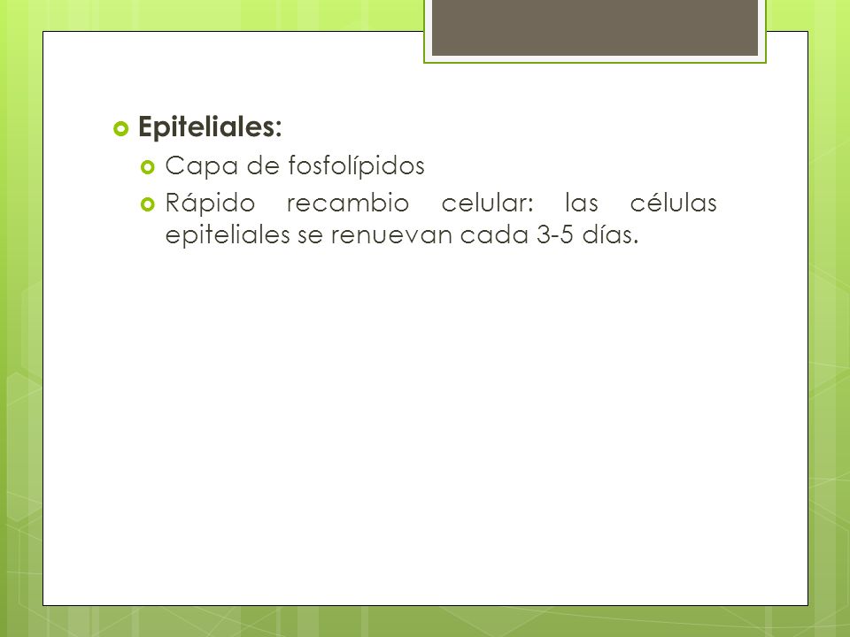 Epiteliales: Capa de fosfolípidos