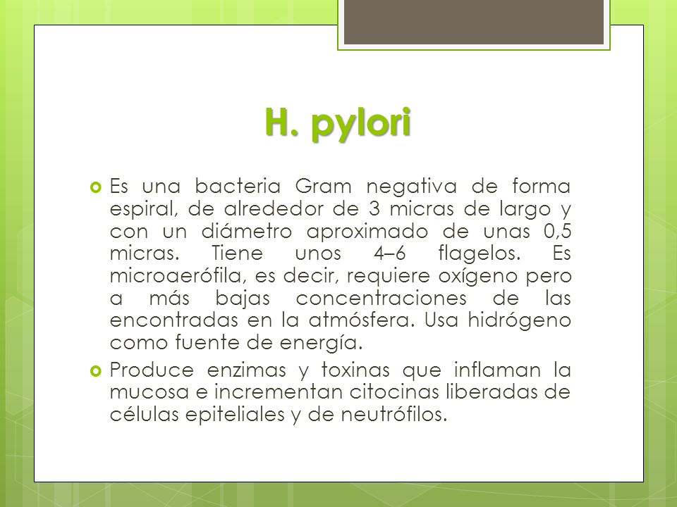 H. pylori