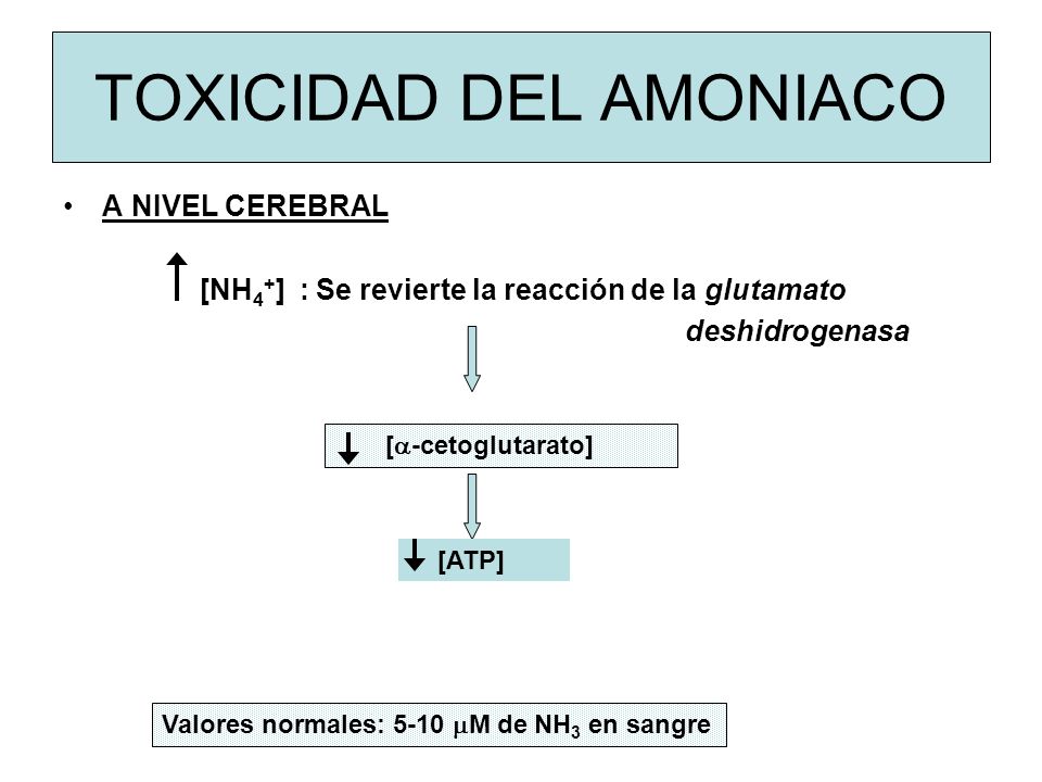 TOXICIDAD DEL AMONIACO
