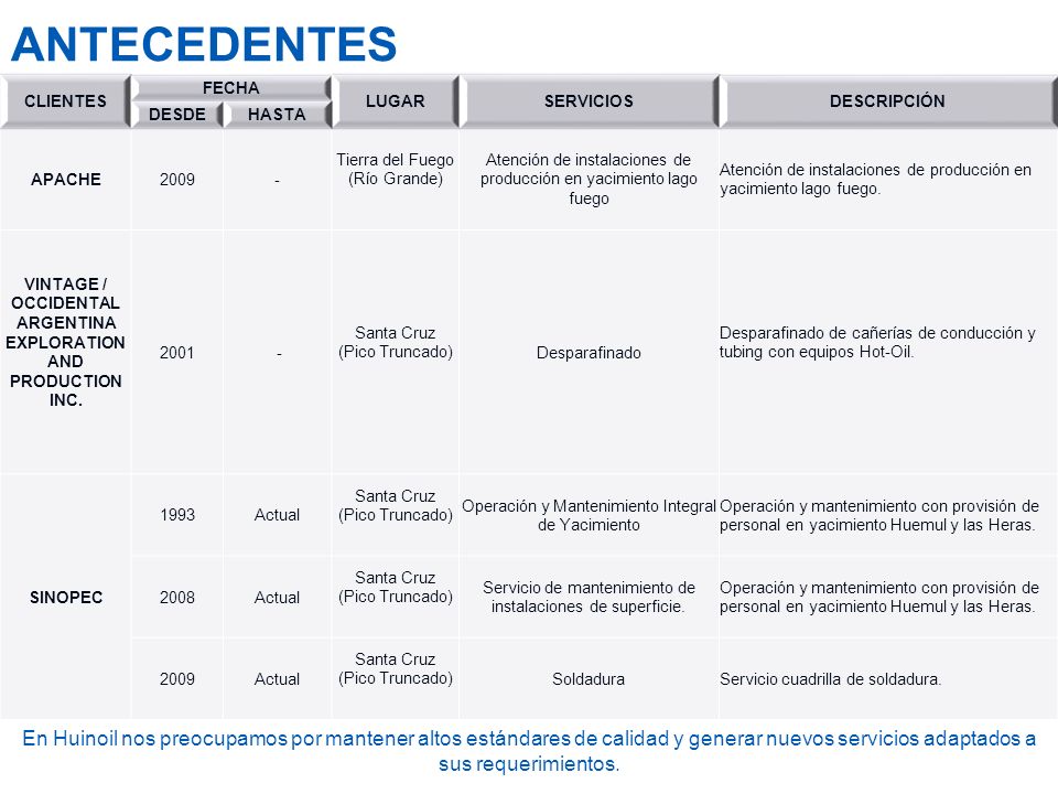 VINTAGE / OCCIDENTAL ARGENTINA EXPLORATION AND PRODUCTION INC.