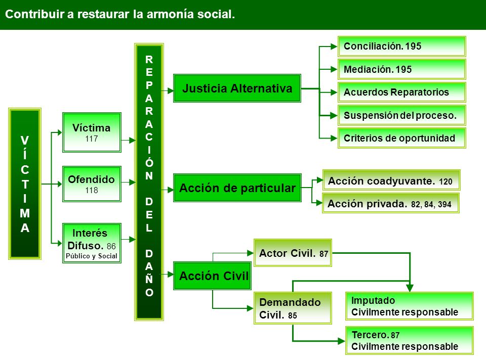 Justicia Alternativa V Í C T I M A Acción de particular