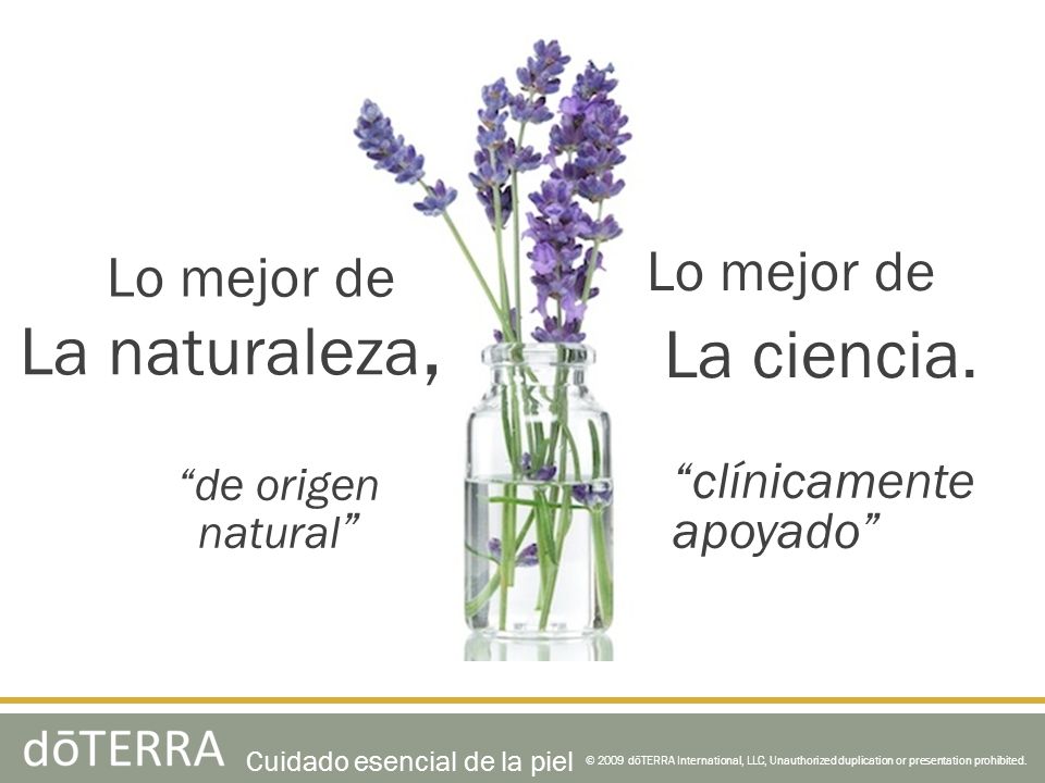 La naturaleza, La ciencia. Lo mejor de Lo mejor de