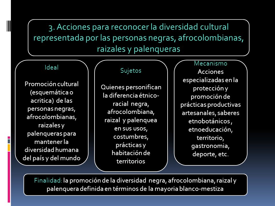 3. Acciones para reconocer la diversidad cultural representada por las personas negras, afrocolombianas, raizales y palenqueras