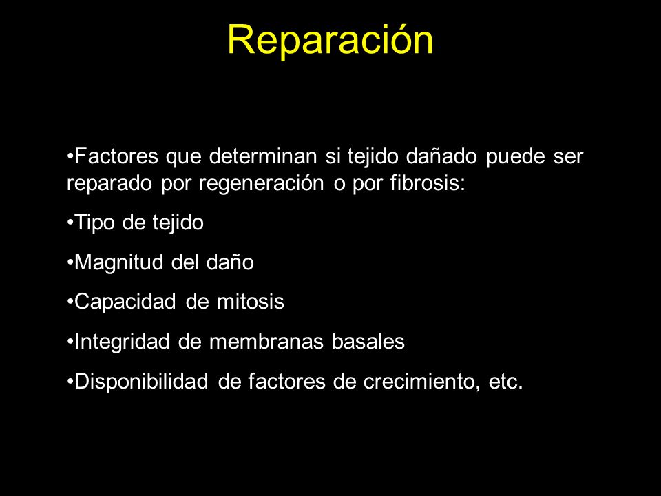 Reparación Factores que determinan si tejido dañado puede ser reparado por regeneración o por fibrosis: