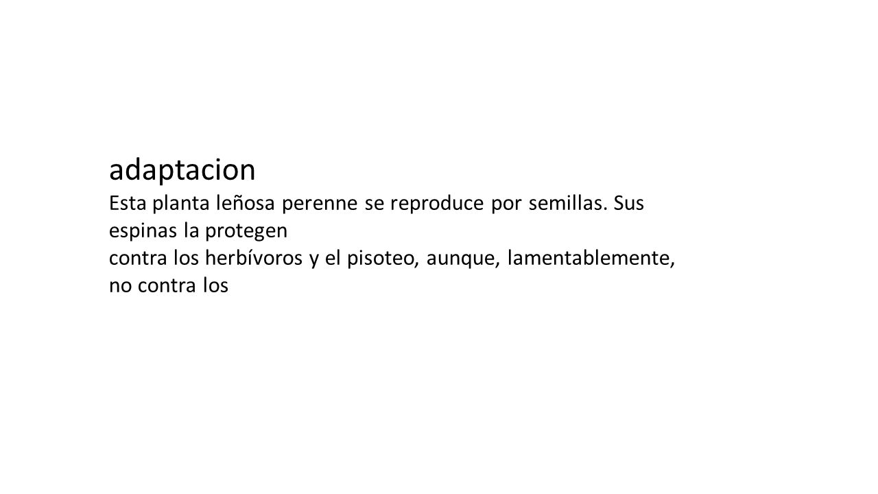 adaptacion Esta planta leñosa perenne se reproduce por semillas. Sus espinas la protegen.