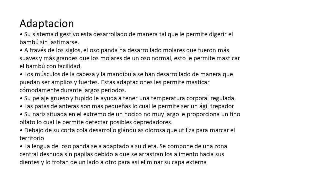 Adaptacion • Su sistema digestivo esta desarrollado de manera tal que le permite digerir el bambú sin lastimarse.