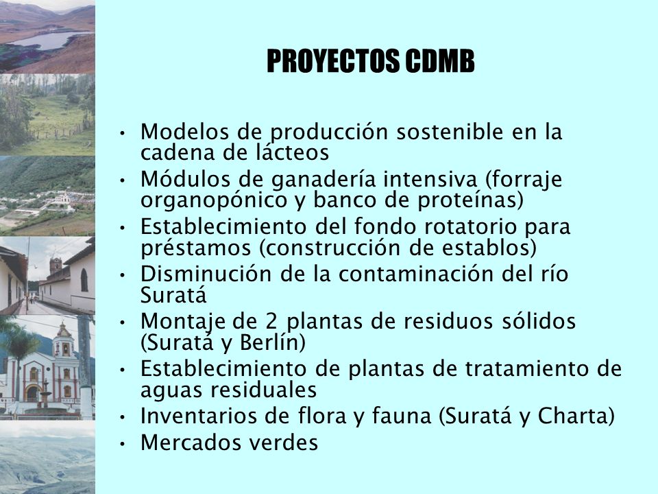 PROYECTOS CDMB Modelos de producción sostenible en la cadena de lácteos. Módulos de ganadería intensiva (forraje organopónico y banco de proteínas)