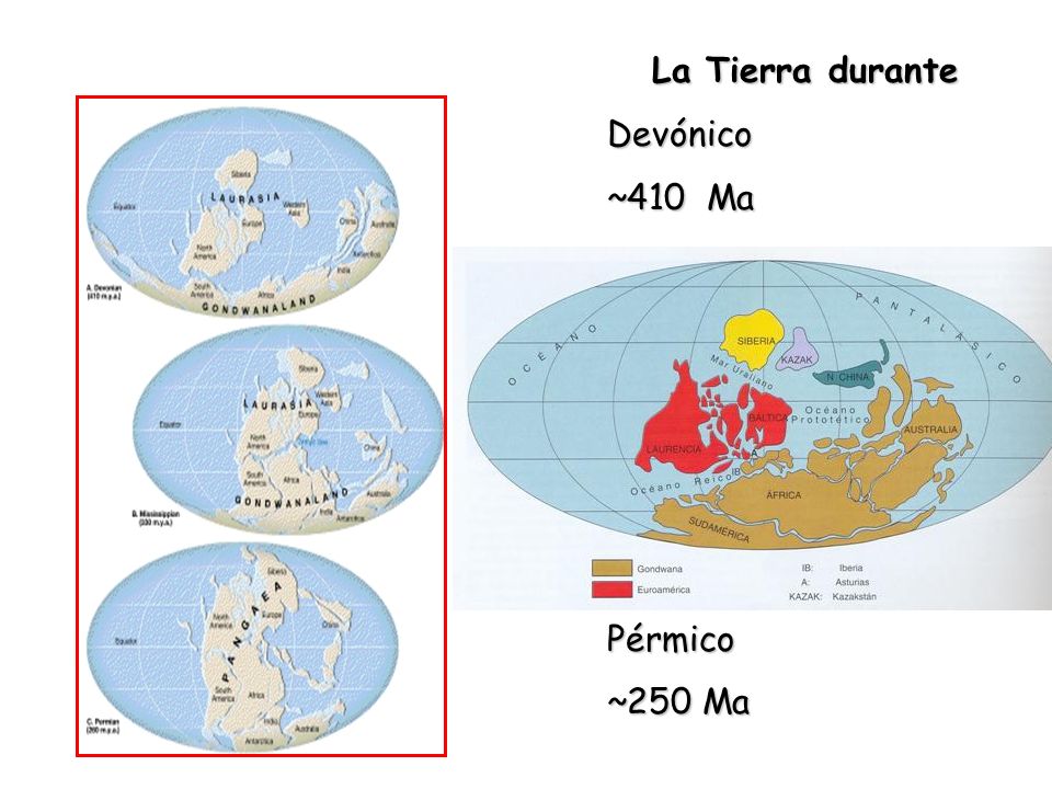 La Tierra durante Devónico ~410 Ma Carbonífero ~330 Ma Pérmico ~250 Ma