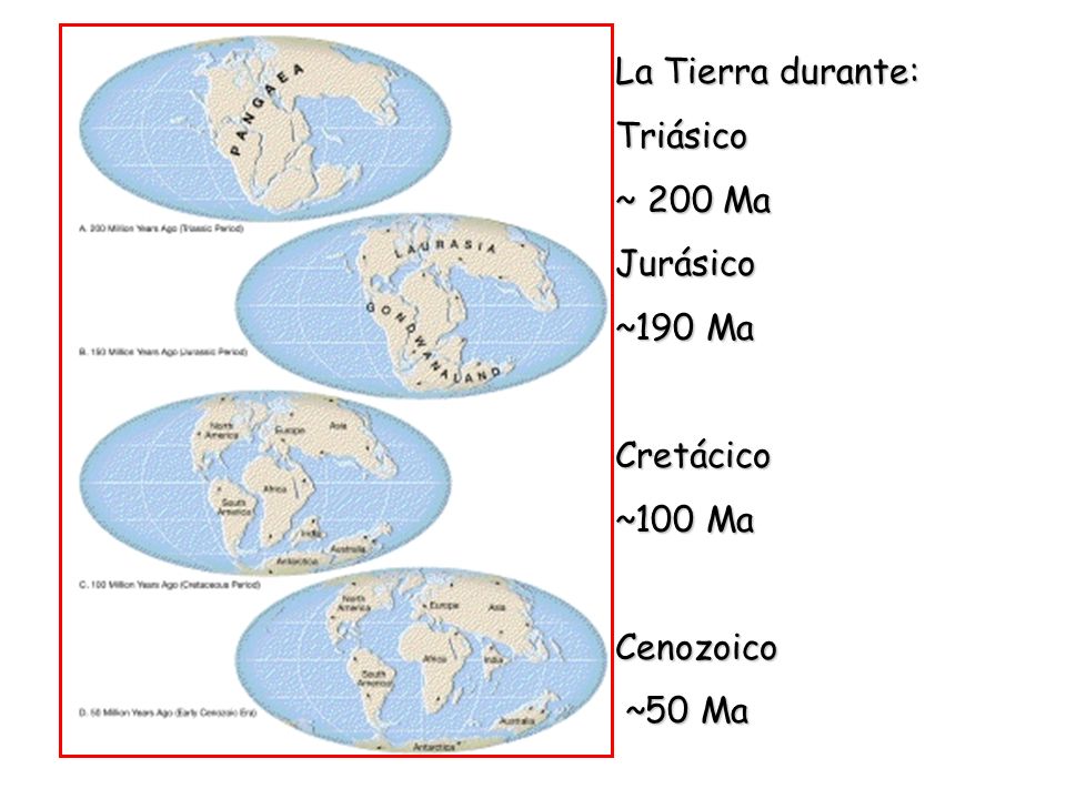 La Tierra durante: Triásico ~ 200 Ma Jurásico ~190 Ma Cretácico ~100 Ma Cenozoico ~50 Ma