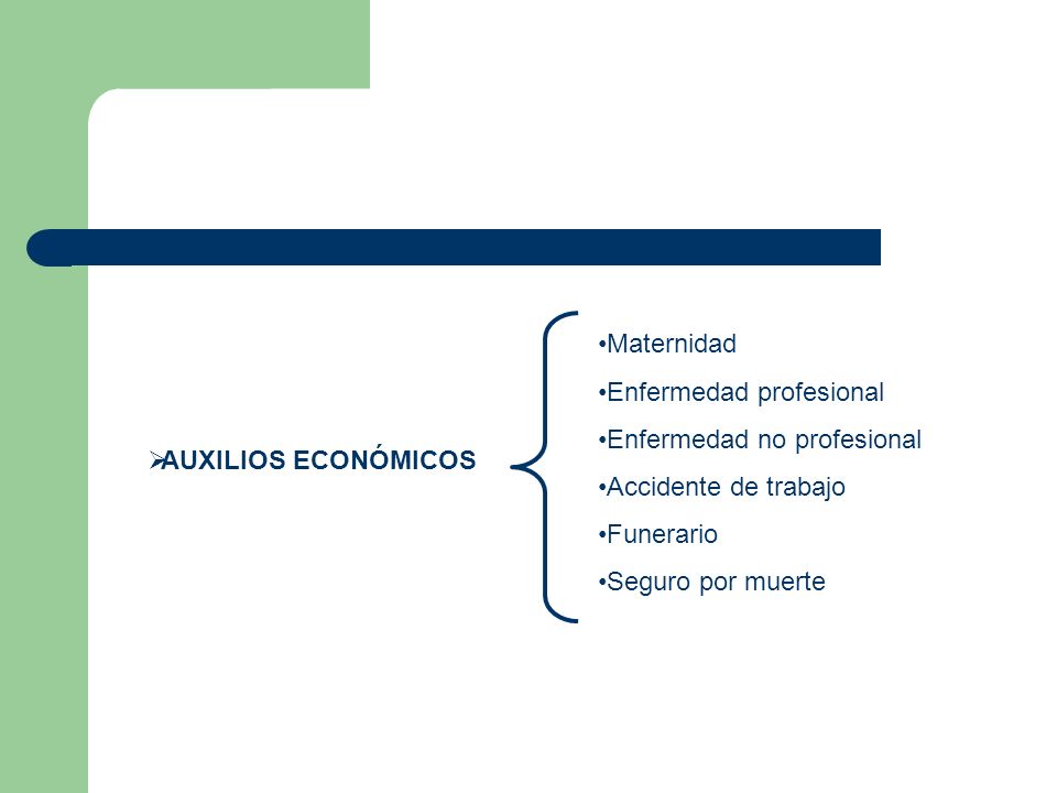 AUXILIOS ECONÓMICOS Maternidad. Enfermedad profesional. Enfermedad no profesional. Accidente de trabajo.