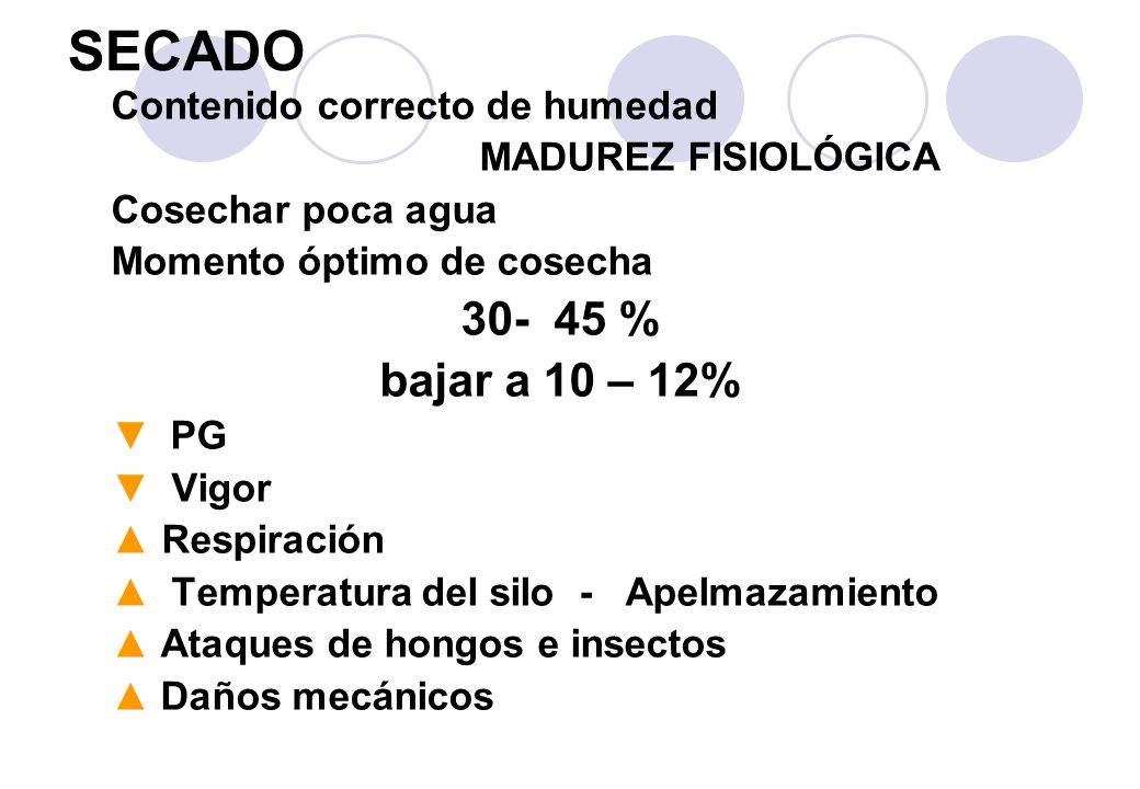 SECADO % bajar a 10 – 12% Contenido correcto de humedad