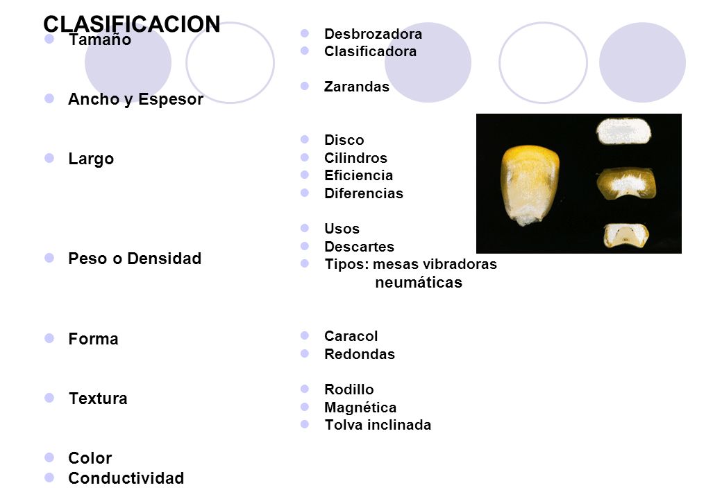 CLASIFICACION Tamaño Ancho y Espesor Largo Peso o Densidad Forma