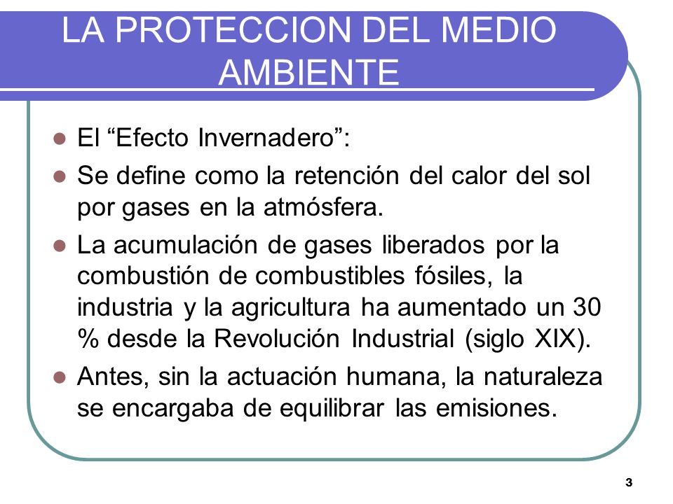 LA PROTECCION DEL MEDIO AMBIENTE