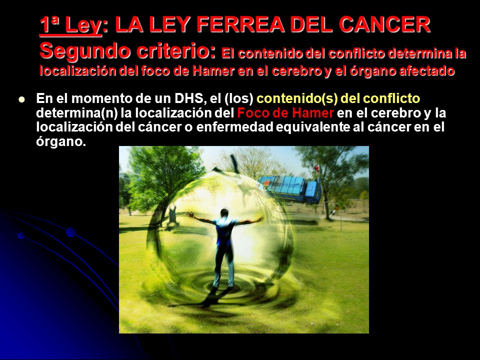1ª Ley: LA LEY FERREA DEL CANCER Segundo criterio: El contenido del conflicto determina la localización del foco de Hamer en el cerebro y el órgano afectado