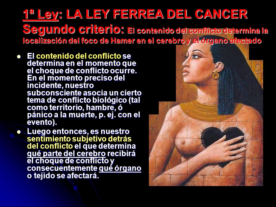 1ª Ley: LA LEY FERREA DEL CANCER Segundo criterio: El contenido del conflicto determina la localización del foco de Hamer en el cerebro y el órgano afectado