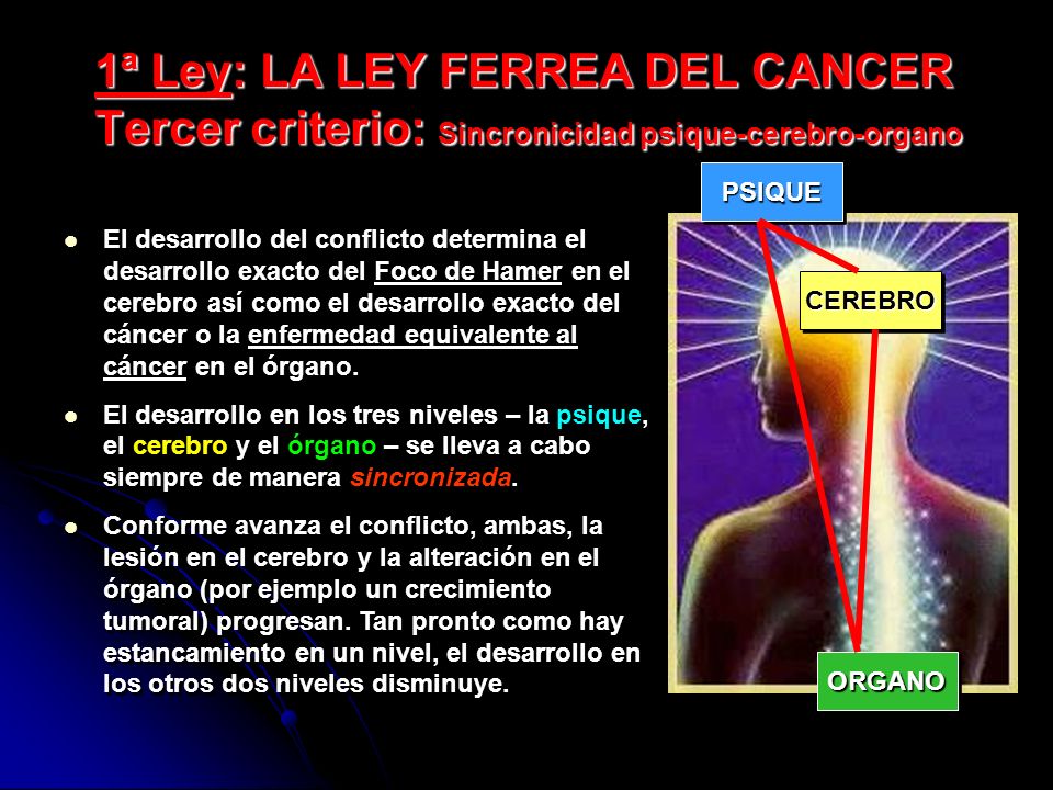 1ª Ley: LA LEY FERREA DEL CANCER Tercer criterio: Sincronicidad psique-cerebro-organo