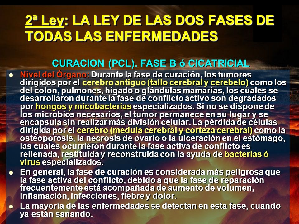 2ª Ley: LA LEY DE LAS DOS FASES DE TODAS LAS ENFERMEDADES