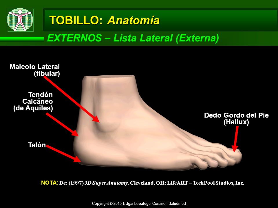 Что значит pies. Tobillo. Tobillos. Externos.