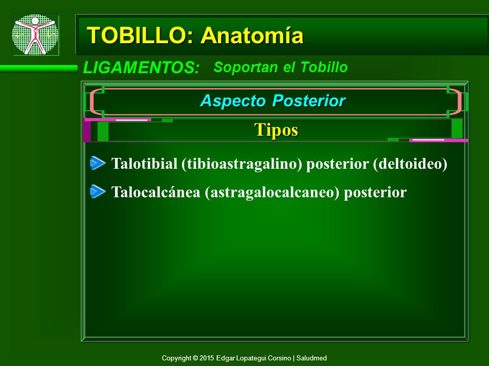 TOBILLO: Anatomía Tipos LIGAMENTOS: Aspecto Posterior