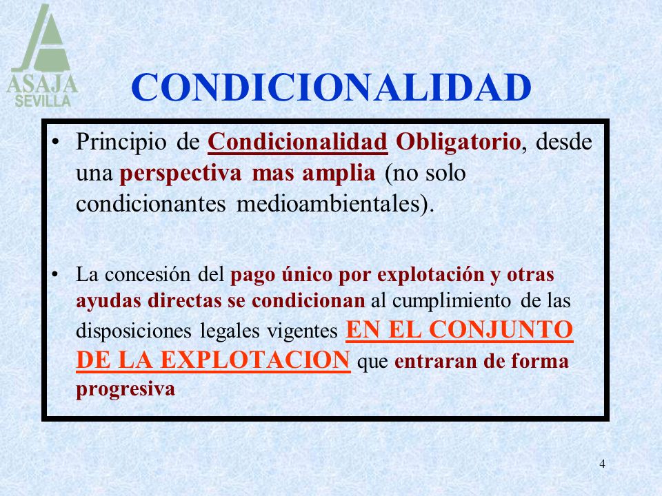 CONDICIONALIDAD Principio de Condicionalidad Obligatorio, desde una perspectiva mas amplia (no solo condicionantes medioambientales).