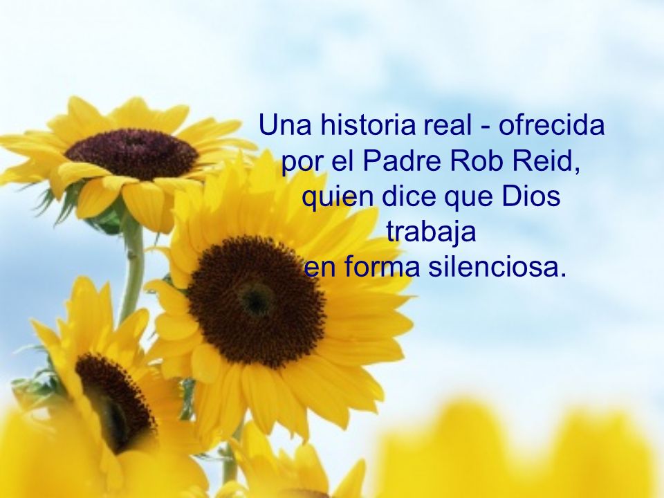 Una historia real - ofrecida por el Padre Rob Reid, quien dice que Dios trabaja en forma silenciosa.