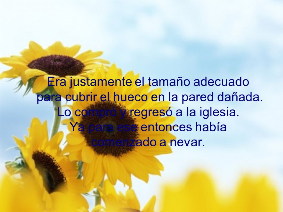 Era justamente el tamaño adecuado para cubrir el hueco en la pared dañada.