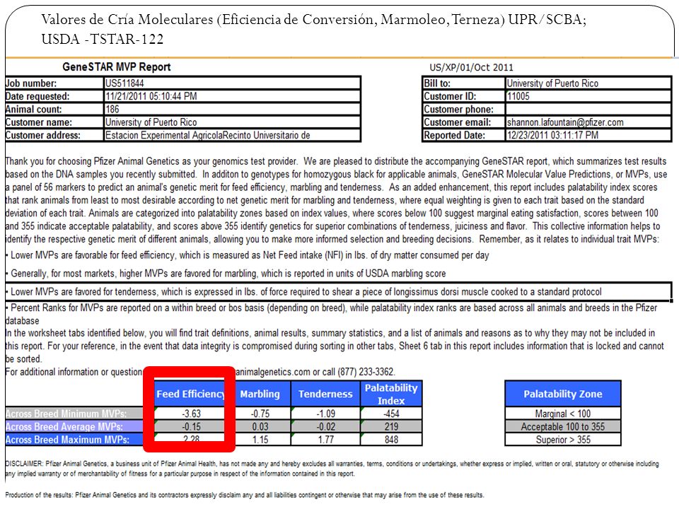 Valores de Cría Moleculares (Eficiencia de Conversión, Marmoleo, Terneza) UPR/SCBA; USDA -TSTAR-122