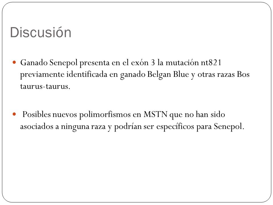 Discusión Ganado Senepol presenta en el exón 3 la mutación nt821 previamente identificada en ganado Belgan Blue y otras razas Bos taurus-taurus.