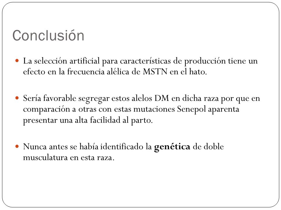 Conclusión La selección artificial para características de producción tiene un efecto en la frecuencia alélica de MSTN en el hato.