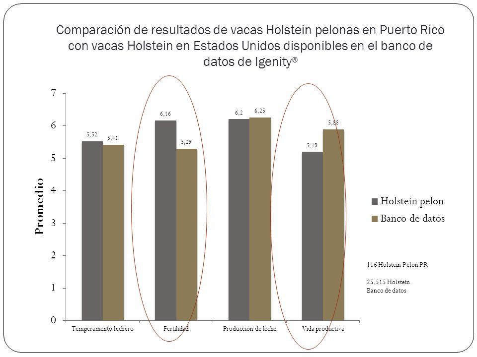 Comparación de resultados de vacas Holstein pelonas en Puerto Rico con vacas Holstein en Estados Unidos disponibles en el banco de datos de Igenity®