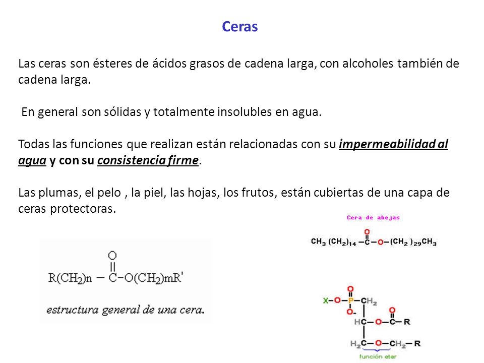 Ceras Las ceras son ésteres de ácidos grasos de cadena larga, con alcoholes también de cadena larga.