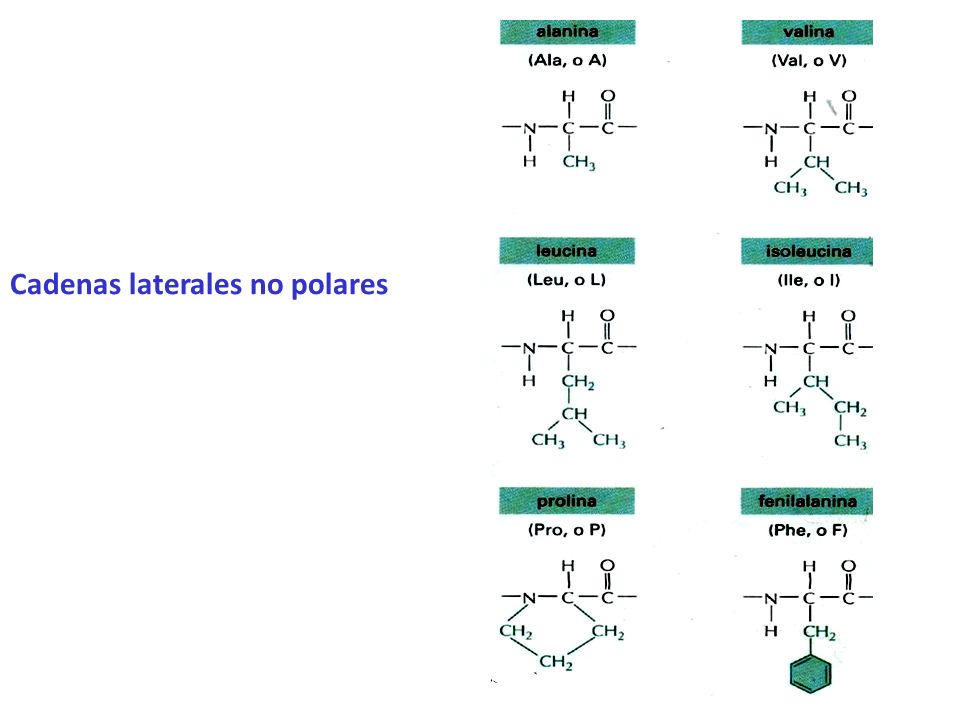 Cadenas laterales no polares