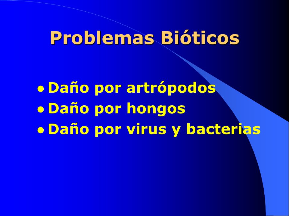 Problemas Bióticos Daño por artrópodos Daño por hongos