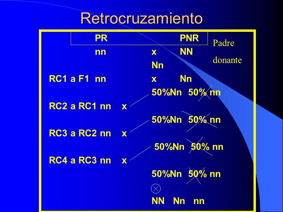 Retrocruzamiento PR PNR nn x NN Padre donante Nn RC1 a F1 nn x Nn