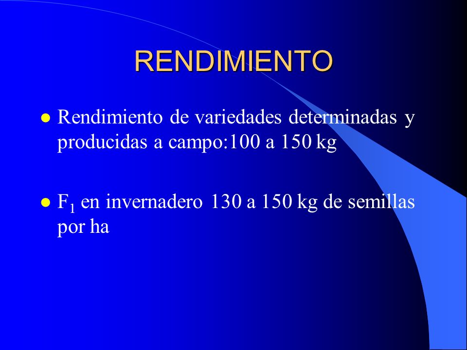 RENDIMIENTO Rendimiento de variedades determinadas y producidas a campo:100 a 150 kg.