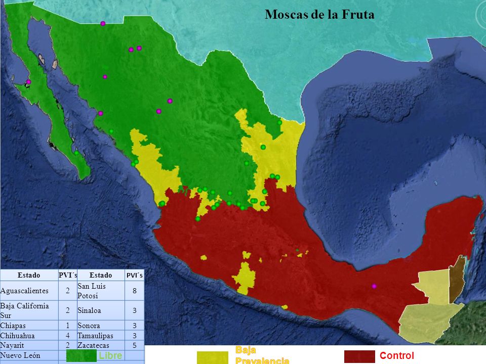 Moscas de la Fruta Baja Prevalencia Libre Control Aguascalientes 2