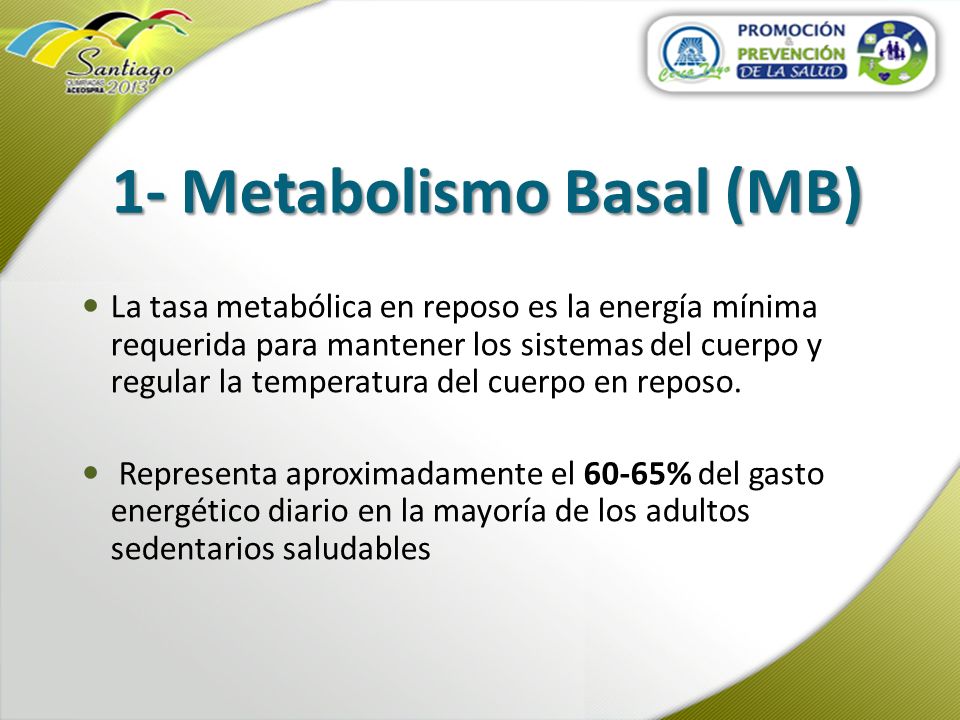 1- Metabolismo Basal (MB)