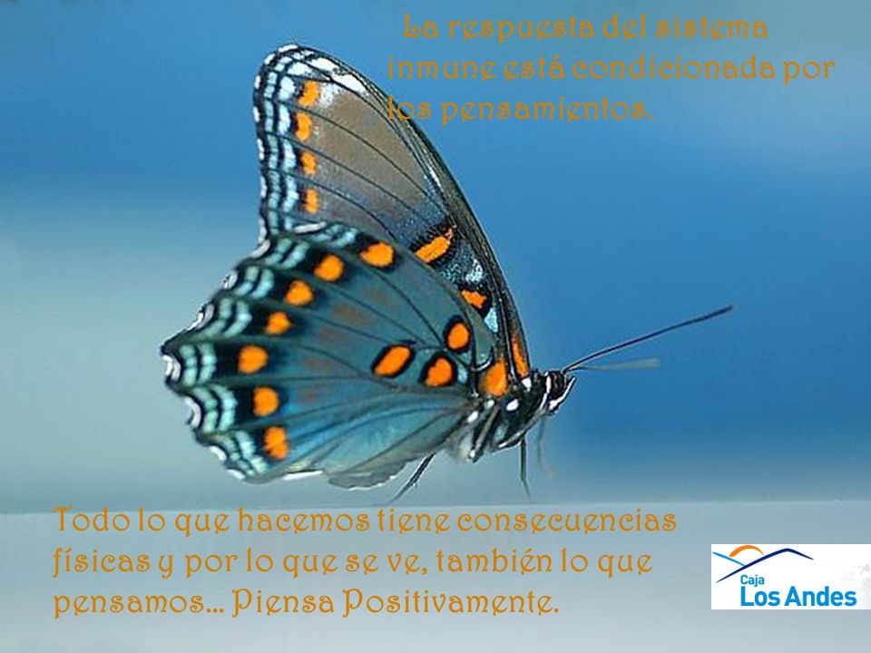 La respuesta del sistema inmune está condicionada por los pensamientos.