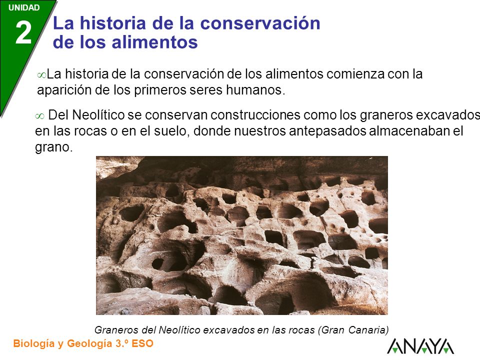 La historia de la conservación de los alimentos comienza con la aparición de los primeros seres humanos.