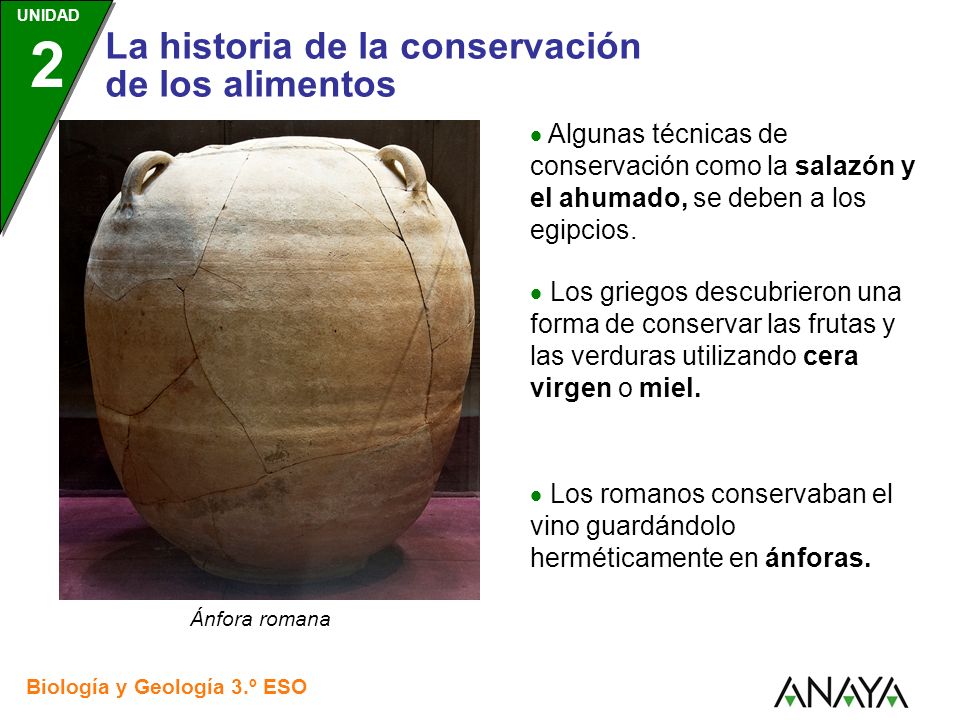  Algunas técnicas de conservación como la salazón y el ahumado, se deben a los egipcios.