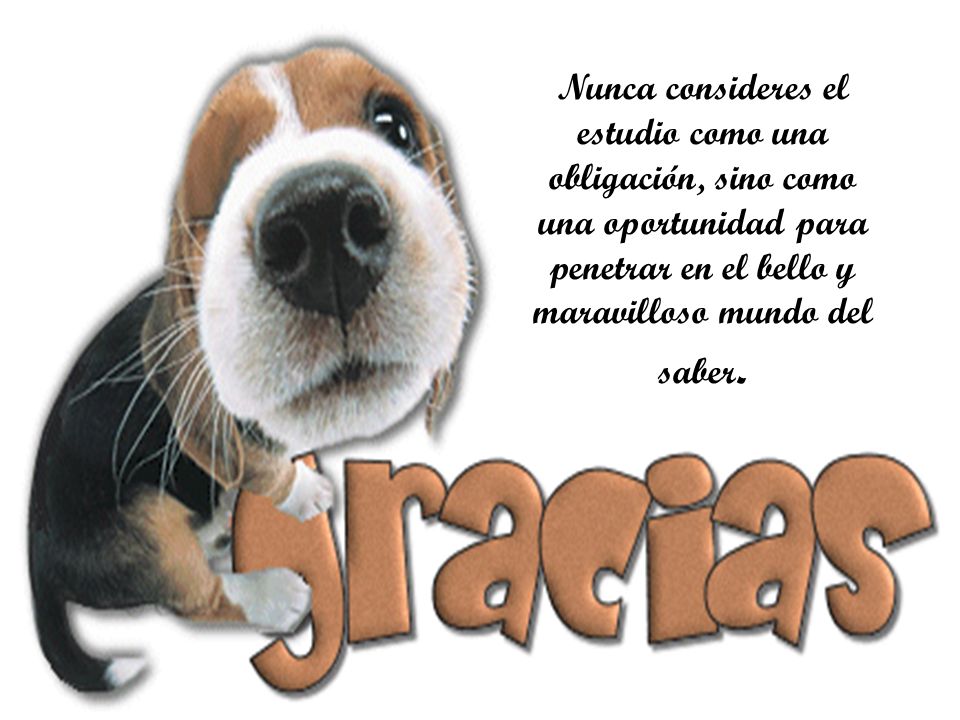 Nunca consideres el estudio como una obligación, sino como una oportunidad para penetrar en el bello y maravilloso mundo del saber.